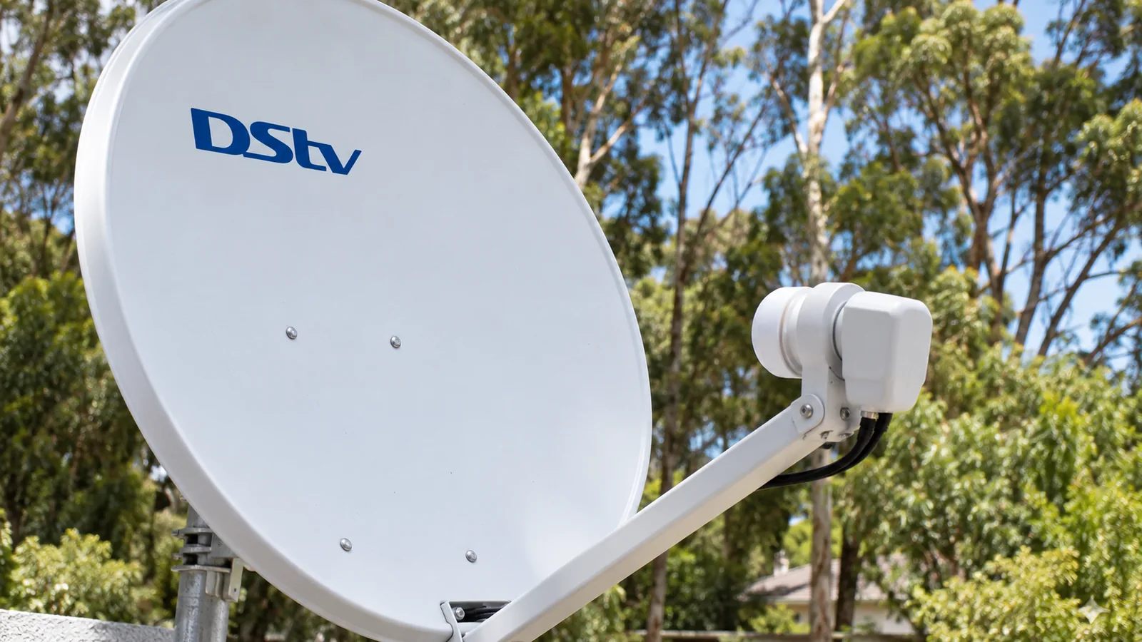DStv Smart LNB Price in Noordhoek: Fitting Costs Explained 1 White dish arm and LNB with tall trees behind, DStv Smart LNB price Noordhoek